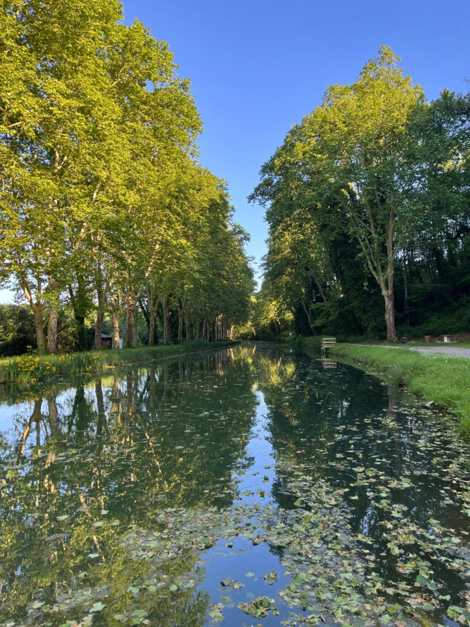 Gite Le Coup De Pompe Ecluse 47 Meilhan-sur-Garonne Екстер'єр фото